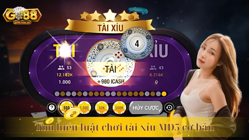 Tìm hiểu luật chơi tài xỉu MD5 cơ bản